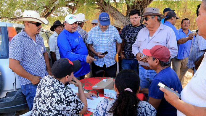 02gobierno de los cabos contrarresta sequia llevando beneficios al sector agropecuario4